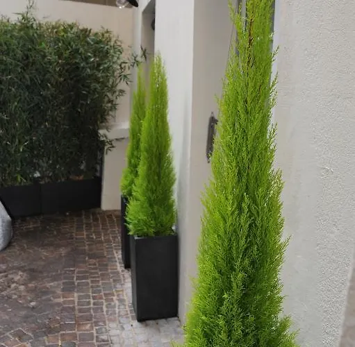 호텔 De La Mare 파리